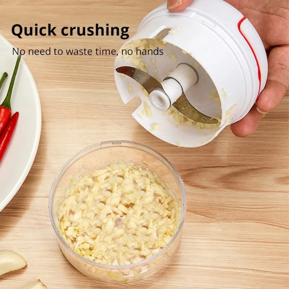 Esmagador de Alho Manual, Moed - Immersion Hand Blender Set avaliação e preço