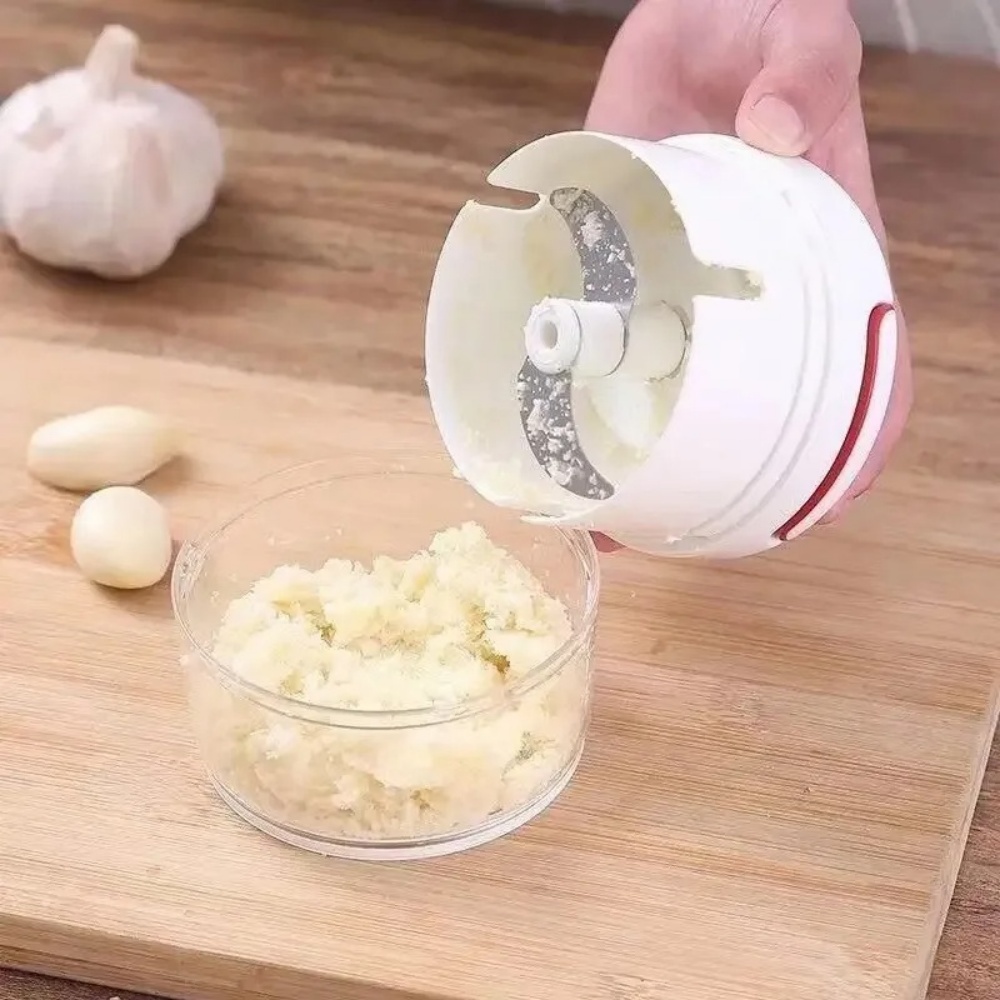 Esmagador de Alho Manual, Moed - Immersion Hand Blender Set avaliação e preço