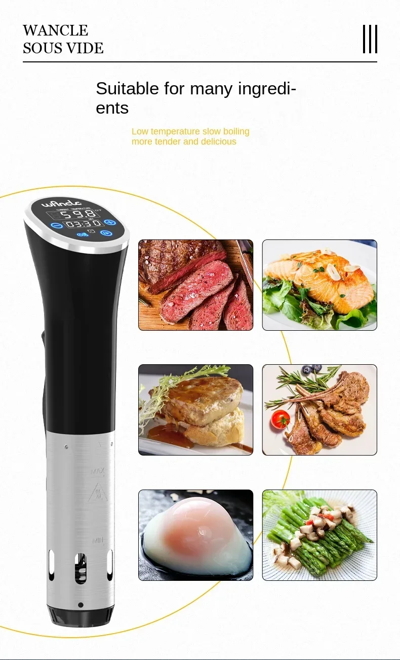 Fogão Sous Vide 220V da Wancle - Digital Sous Vide Precision Cooker avaliação e preço